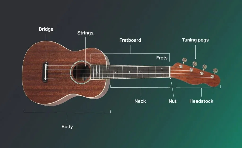 Ile trwa nauka gry na ukulele: zdobądź umiejętności szybciej niż myślisz